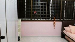 Blk 411 Choa Chu Kang Avenue 3 (Choa Chu Kang), HDB 4 Rooms #631087381